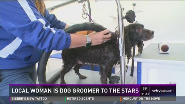 Woman ditches day job to become competitive dog groomer
