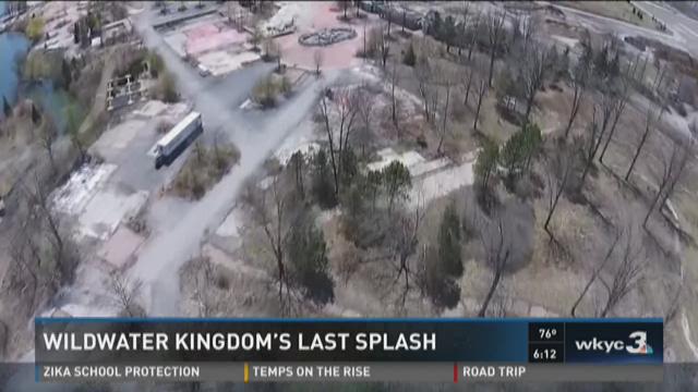 article preview image